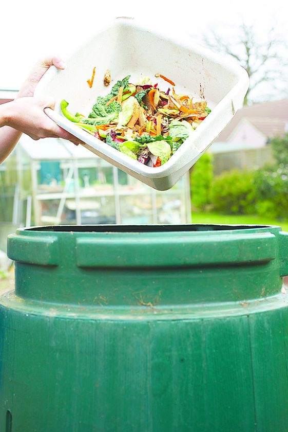 What can and cannot be composted News, Sports, Jobs The Express